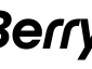 BlackBerry Gold Solutions Provider