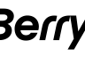 BlackBerry Gold Solutions Provider
